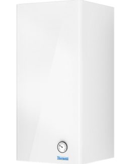 Thermona Therm 60 Z